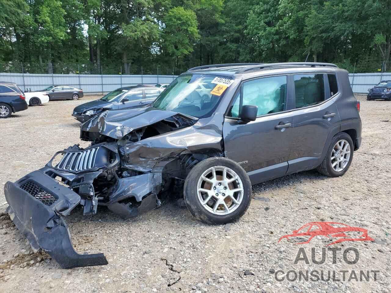JEEP RENEGADE 2019 - ZACNJAAB3KPK17108