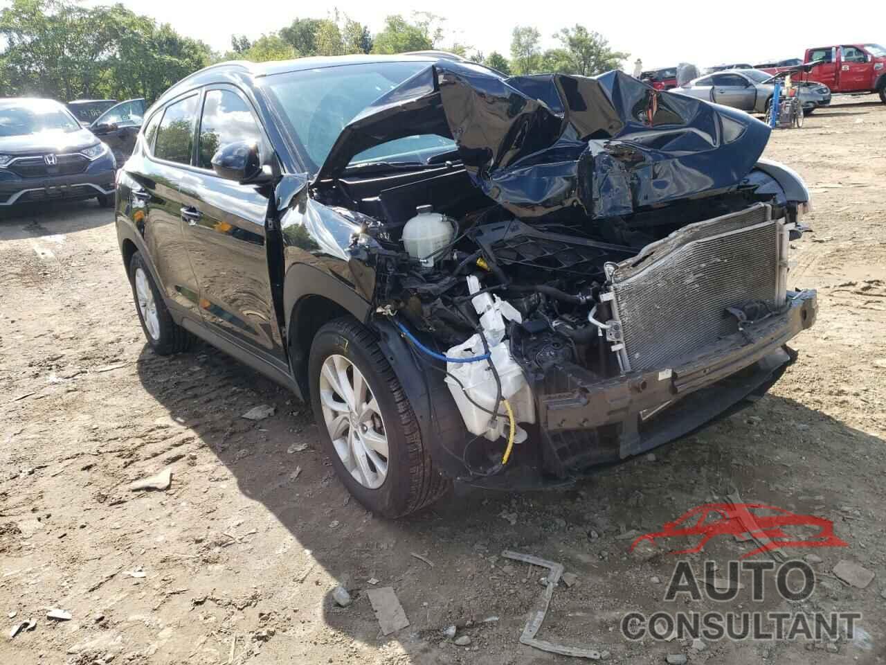 HYUNDAI TUCSON 2019 - KM8J33A46KU019156