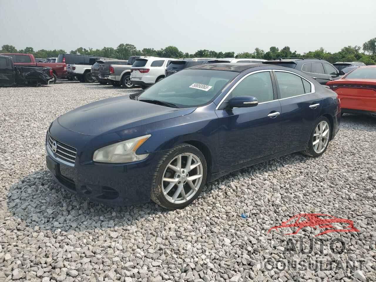 NISSAN MAXIMA 2009 - 1N4AA51E49C854208