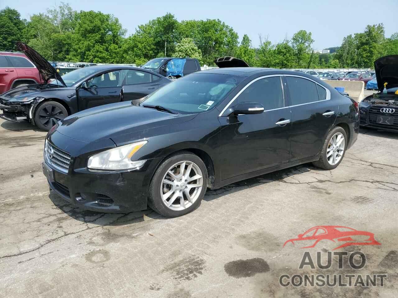 NISSAN MAXIMA 2010 - 1N4AA5AP0AC834558