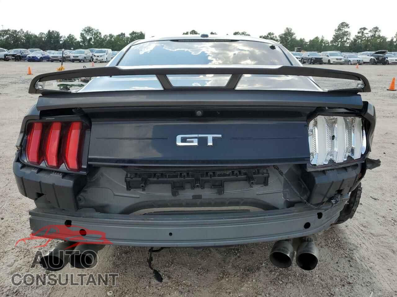 FORD MUSTANG 2019 - 1FA6P8CF5K5115094