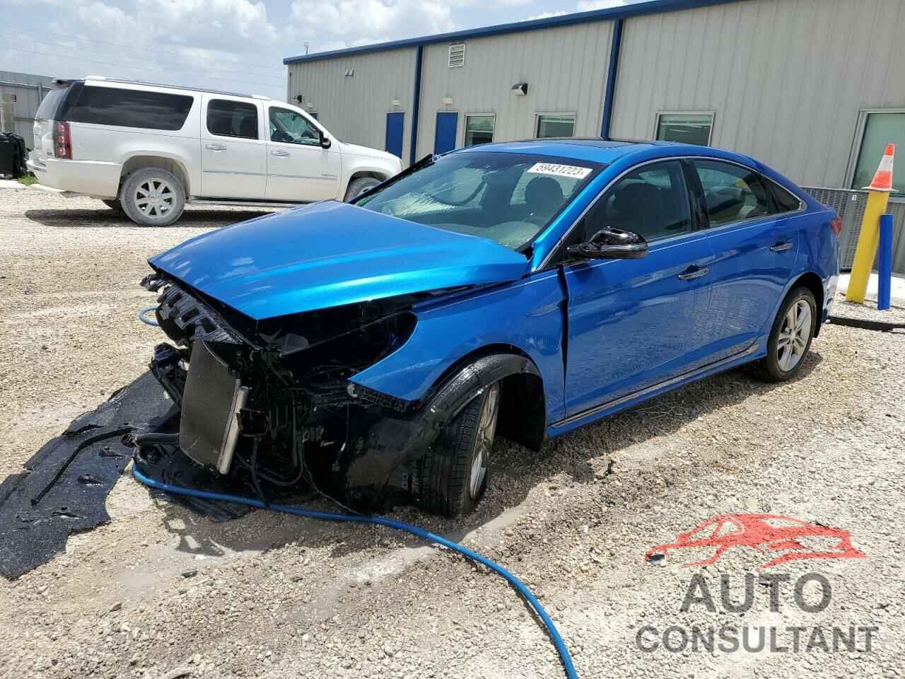 HYUNDAI SONATA 2019 - 5NPE34AF9KH736271