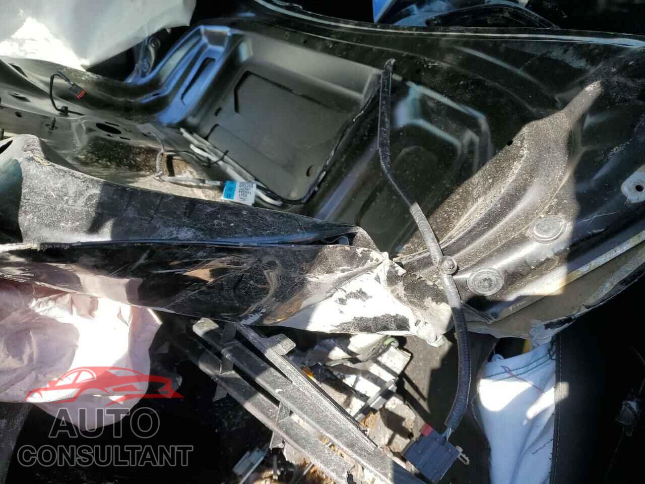 FORD FOCUS 2016 - 1FADP3E20GL207236