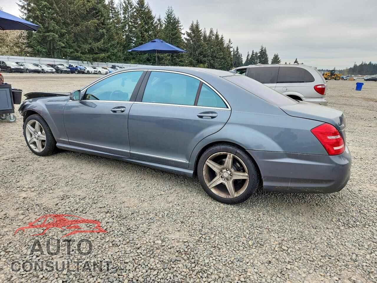 MERCEDES-BENZ S-CLASS 2010 - WDDNG7BB6AA334351