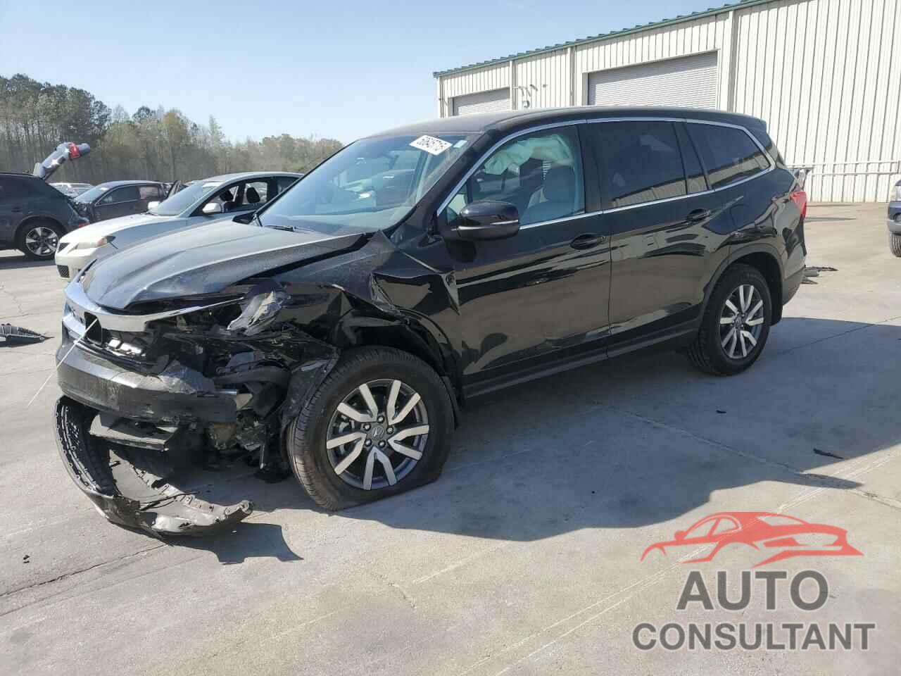 HONDA PILOT 2019 - 5FNYF5H31KB045384