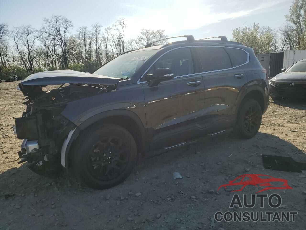 HYUNDAI SANTA FE 2023 - 5NMS6DAJXPH588327