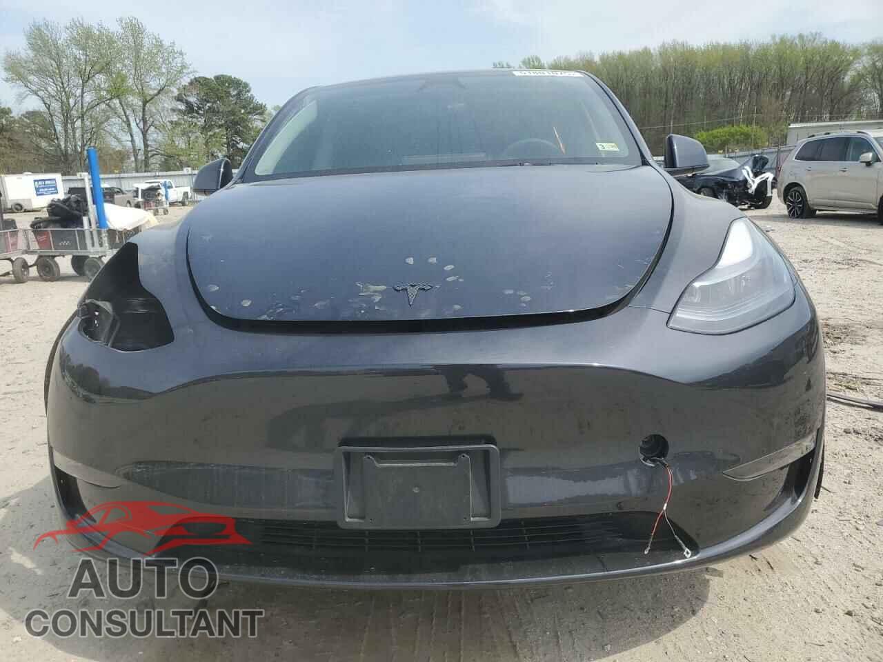 TESLA MODEL Y 2024 - 7SAYGDEE8RF995932