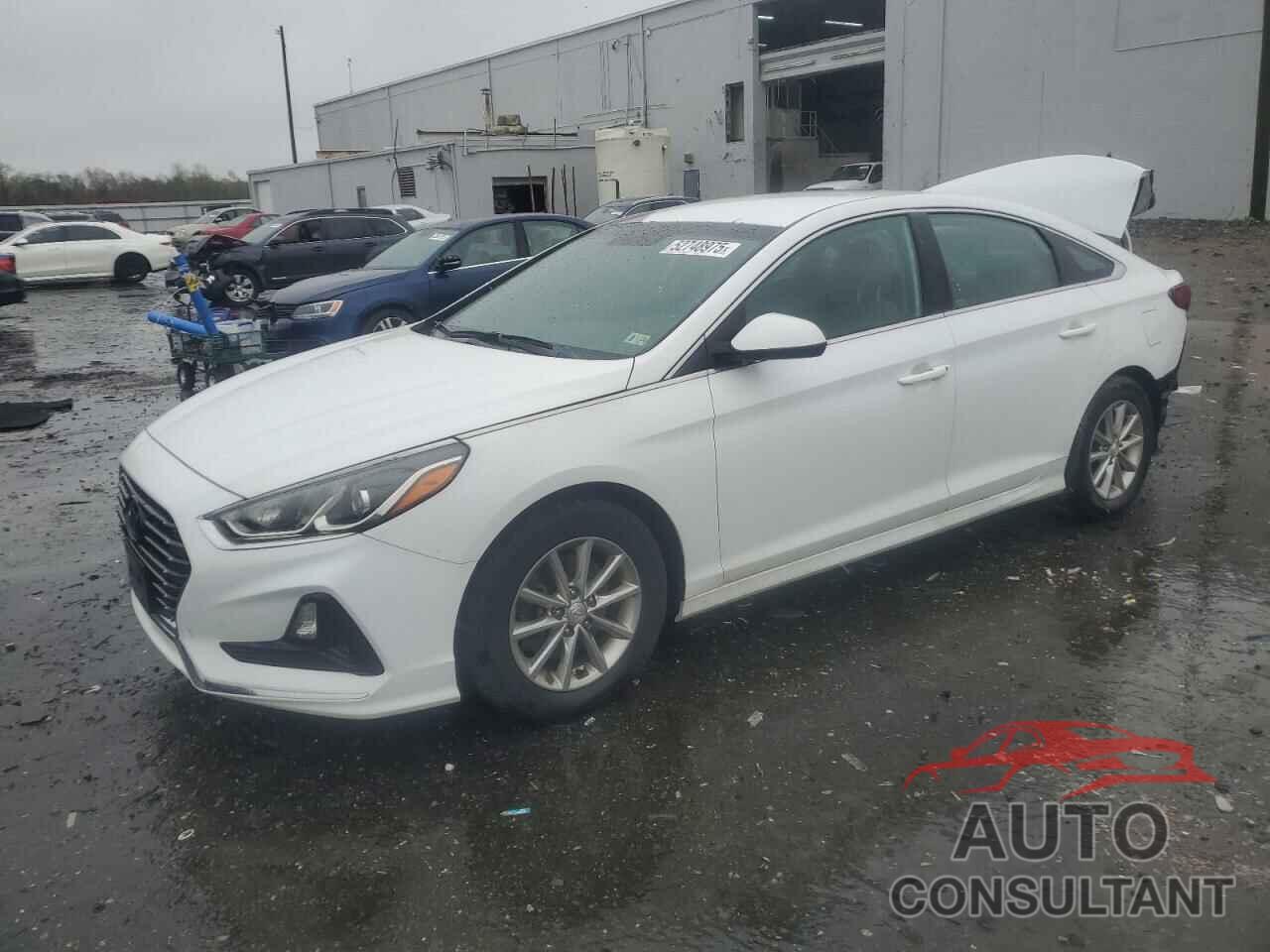 HYUNDAI SONATA 2019 - 5NPE24AF6KH776231