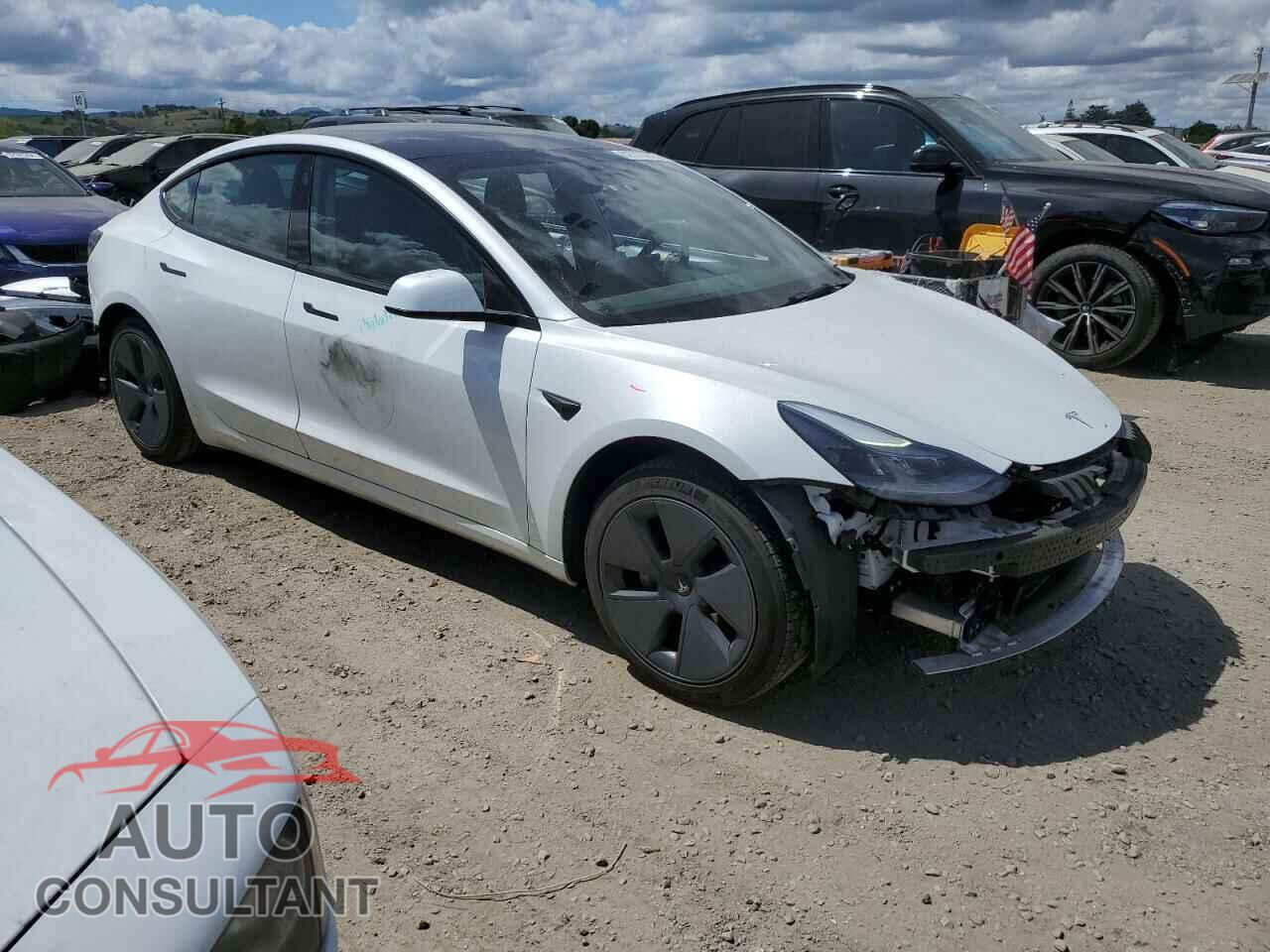 TESLA MODEL 3 2022 - 5YJ3E1EA8NF113466