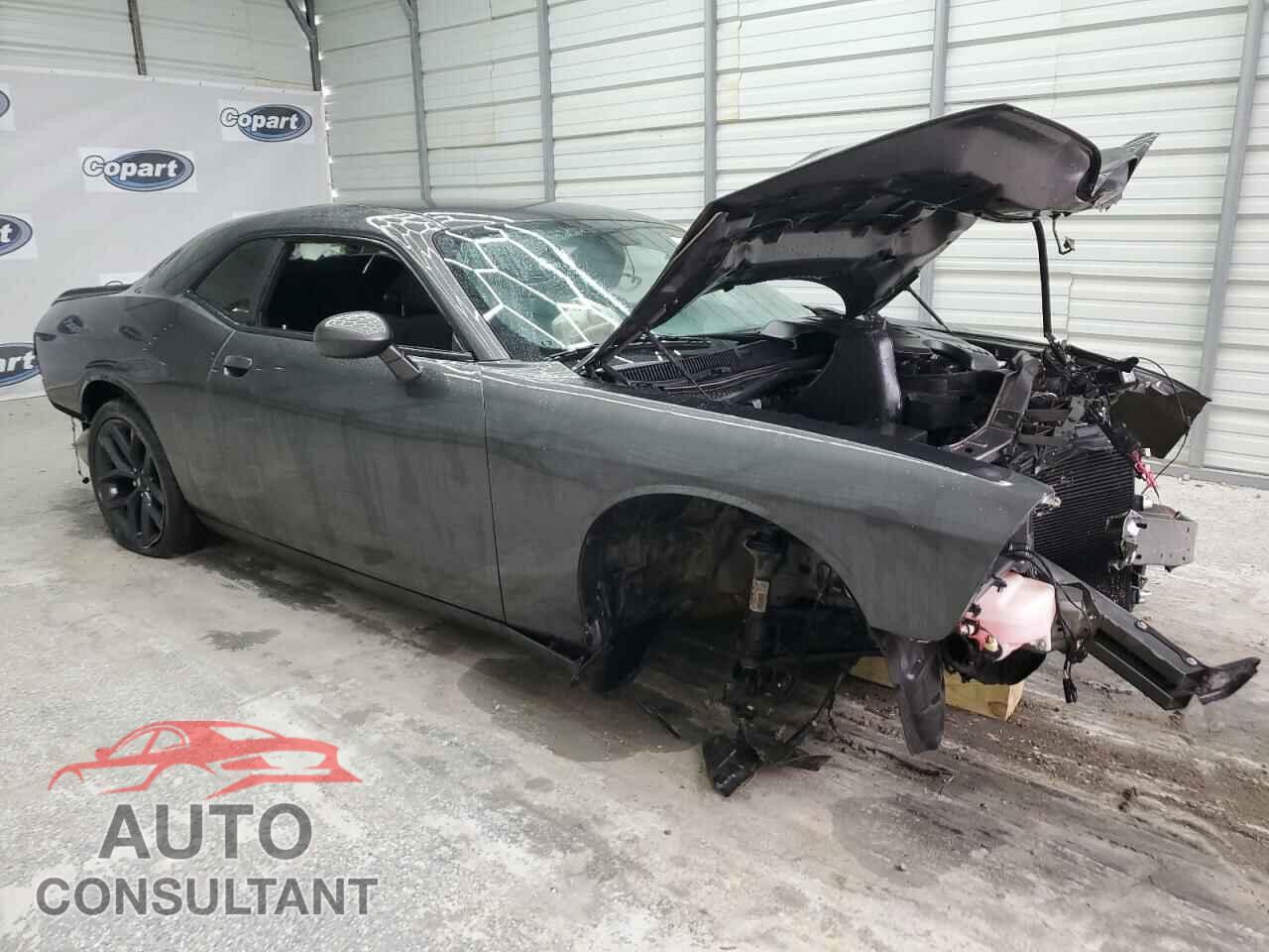 DODGE CHALLENGER 2019 - 2C3CDZAG4KH620953