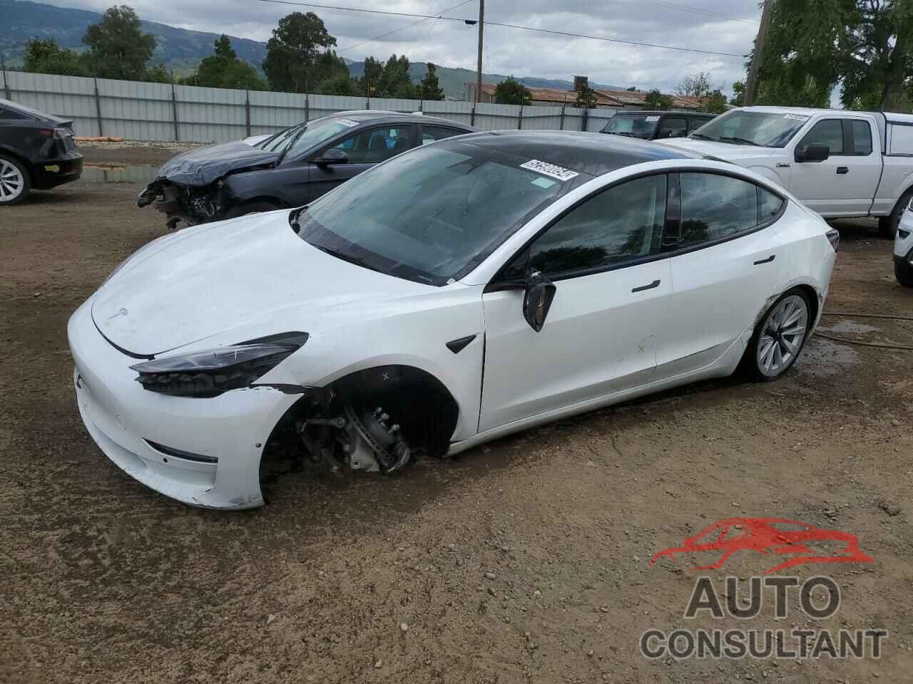 TESLA MODEL 3 2022 - 5YJ3E1EA3NF369210