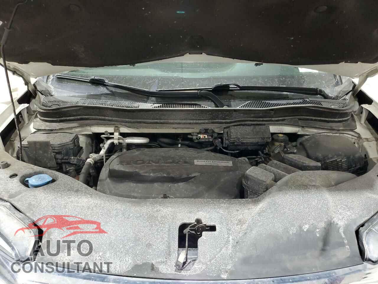 HONDA PILOT 2019 - 5FNYF6H98KB043822