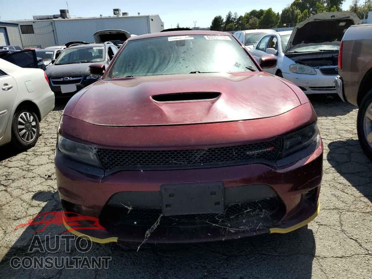 DODGE CHARGER 2019 - 2C3CDXCT0KH738030