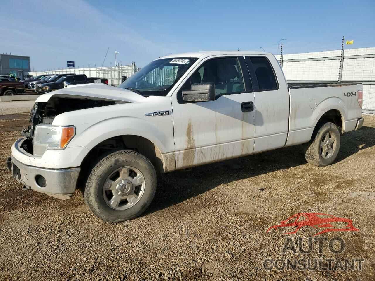 FORD F-150 2013 - 1FTFX1EF0DFC59079