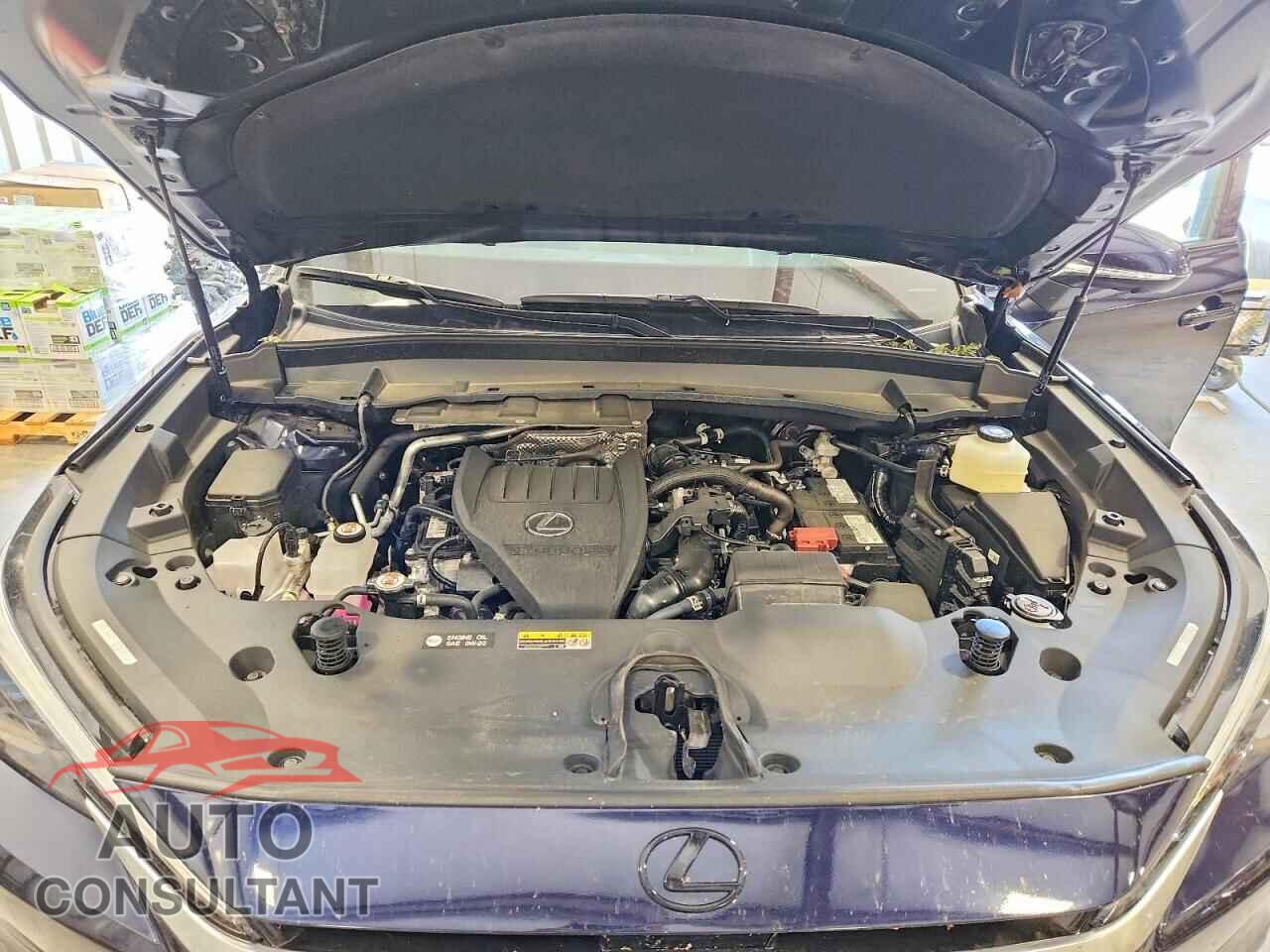 LEXUS UNKNOWN 2026 - 5TDAAAB61TS053557