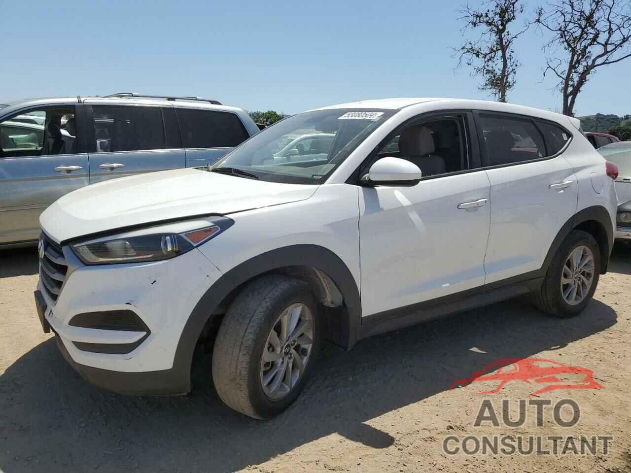 HYUNDAI TUCSON 2018 - KM8J23A4XJU813319