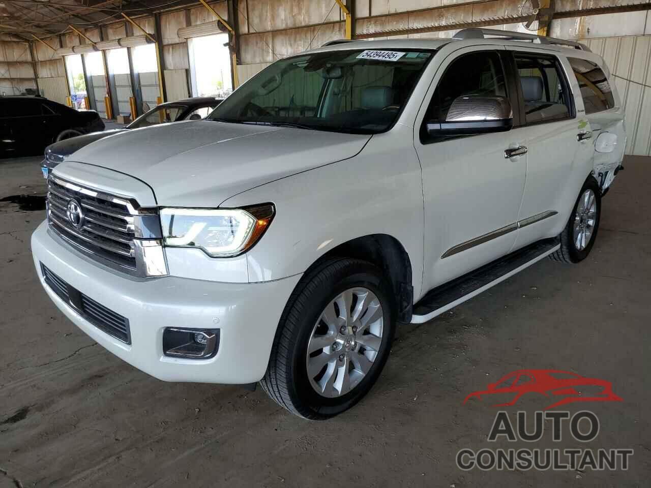 TOYOTA SEQUOIA 2019 - 5TDDY5G10KS173524