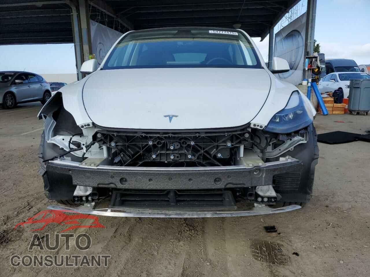 TESLA MODEL Y 2024 - 7SAYGDEE5RF196822