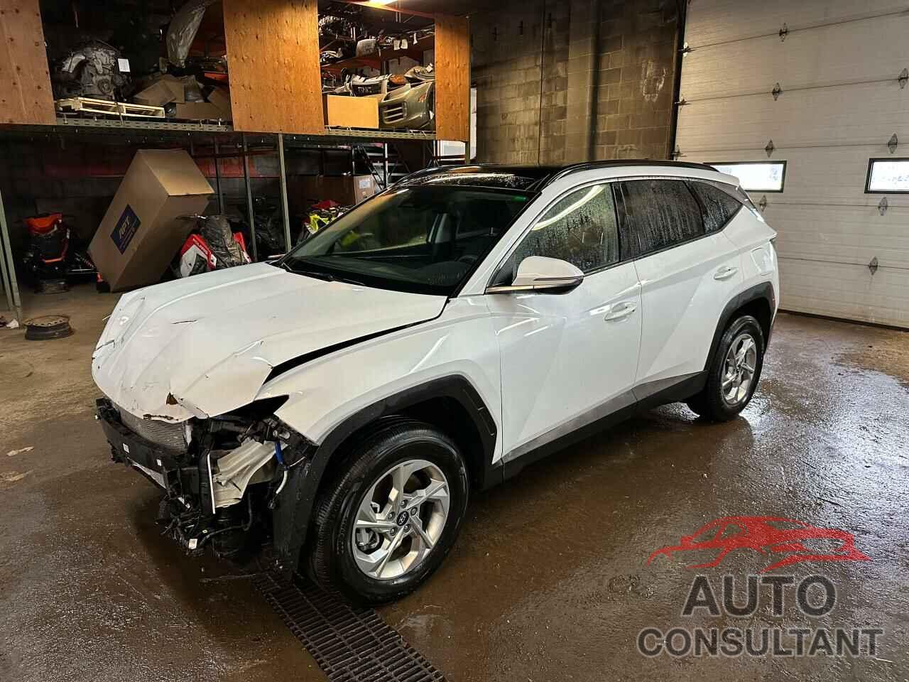 HYUNDAI TUCSON 2024 - KM8JCCDE6RU325126