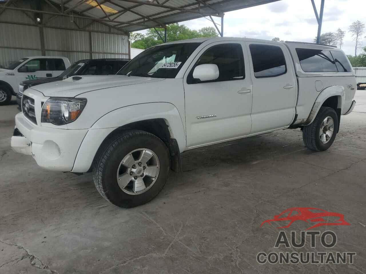 TOYOTA TACOMA 2009 - 3TMMU52N69M015298
