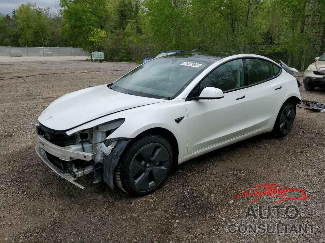 TESLA MODEL 3 2021 - 5YJ3E1EA3MF856941