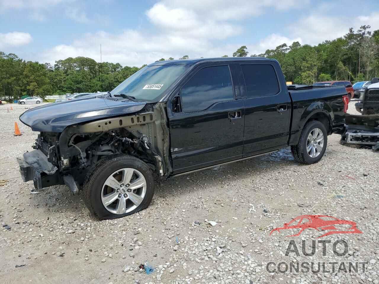 FORD F-150 2015 - 1FTEW1EG0FFB82224