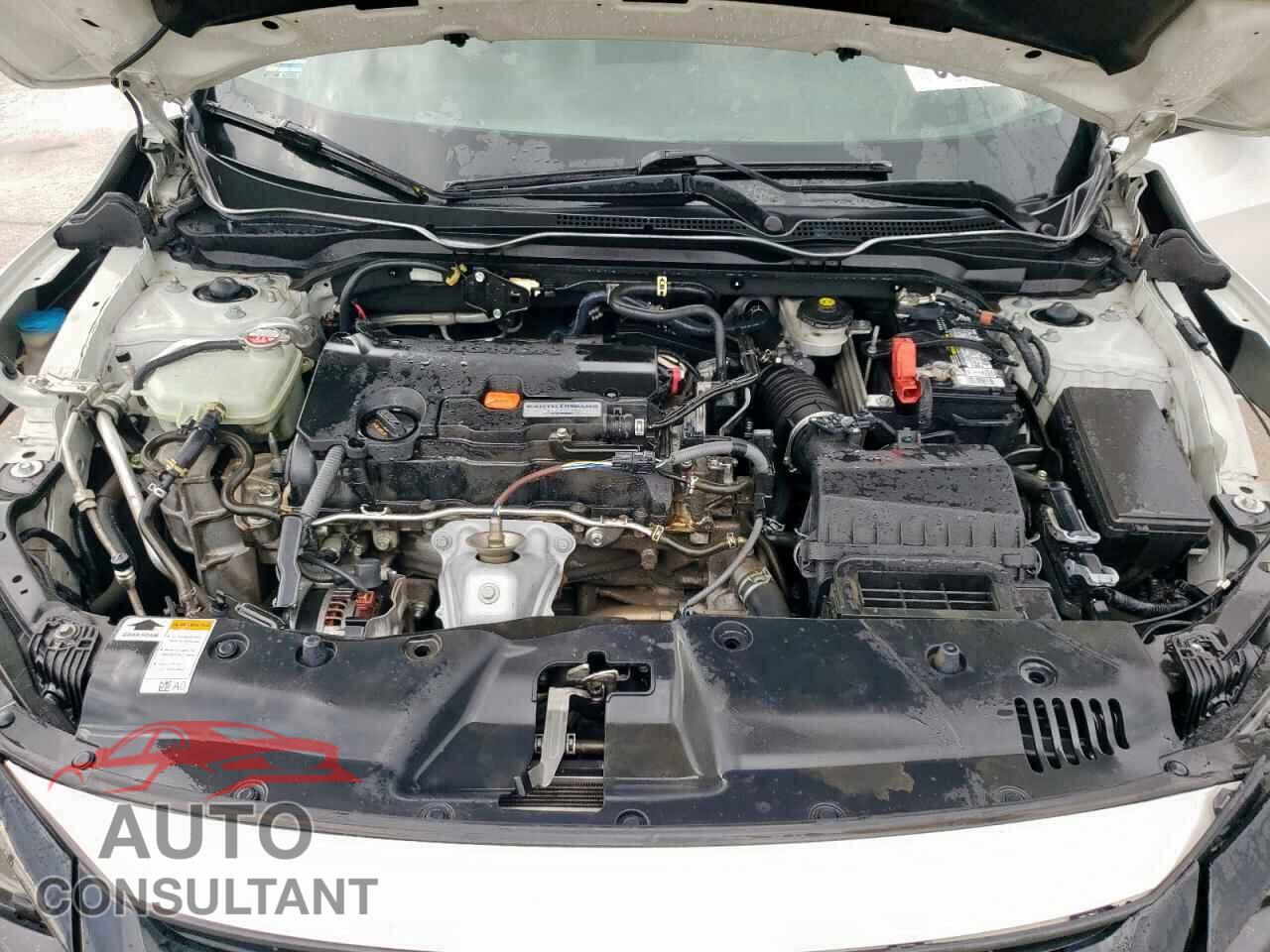 HONDA CIVIC 2019 - 2HGFC2F63KH504664