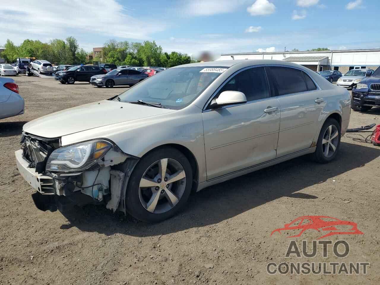 CHEVROLET MALIBU 2011 - 1G1ZC5EU0BF361163