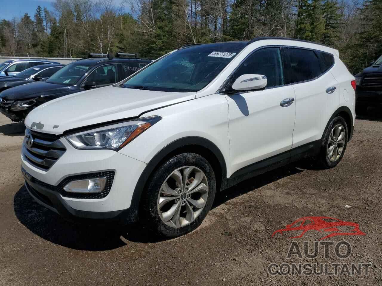 HYUNDAI SANTA FE 2016 - 5XYZUDLA8GG366672