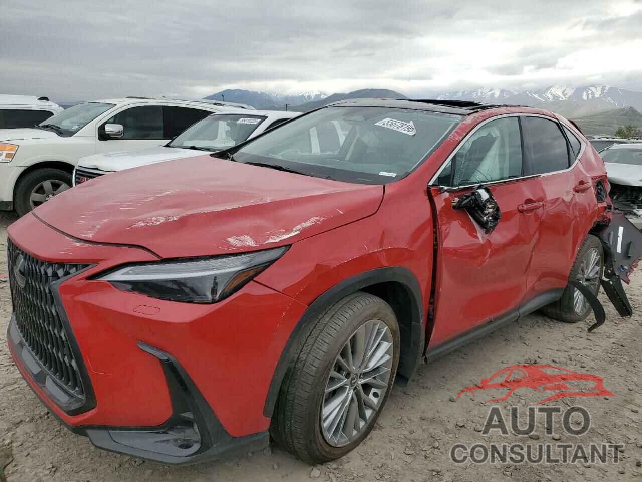 LEXUS NX 350H BA 2025 - 2T2HKCEZ5SC032842