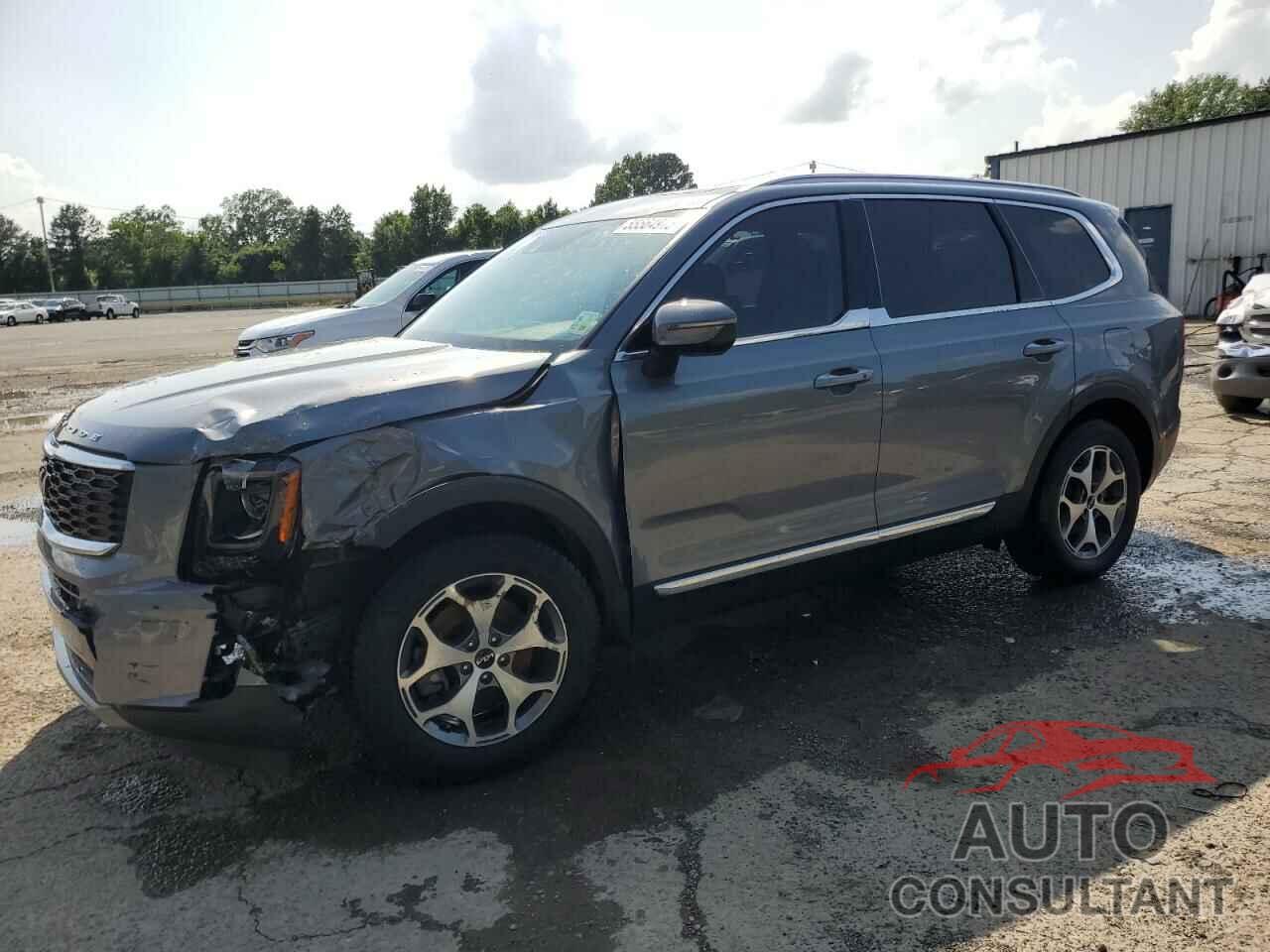 KIA TELLURIDE 2022 - 5XYP3DHC2NG312799