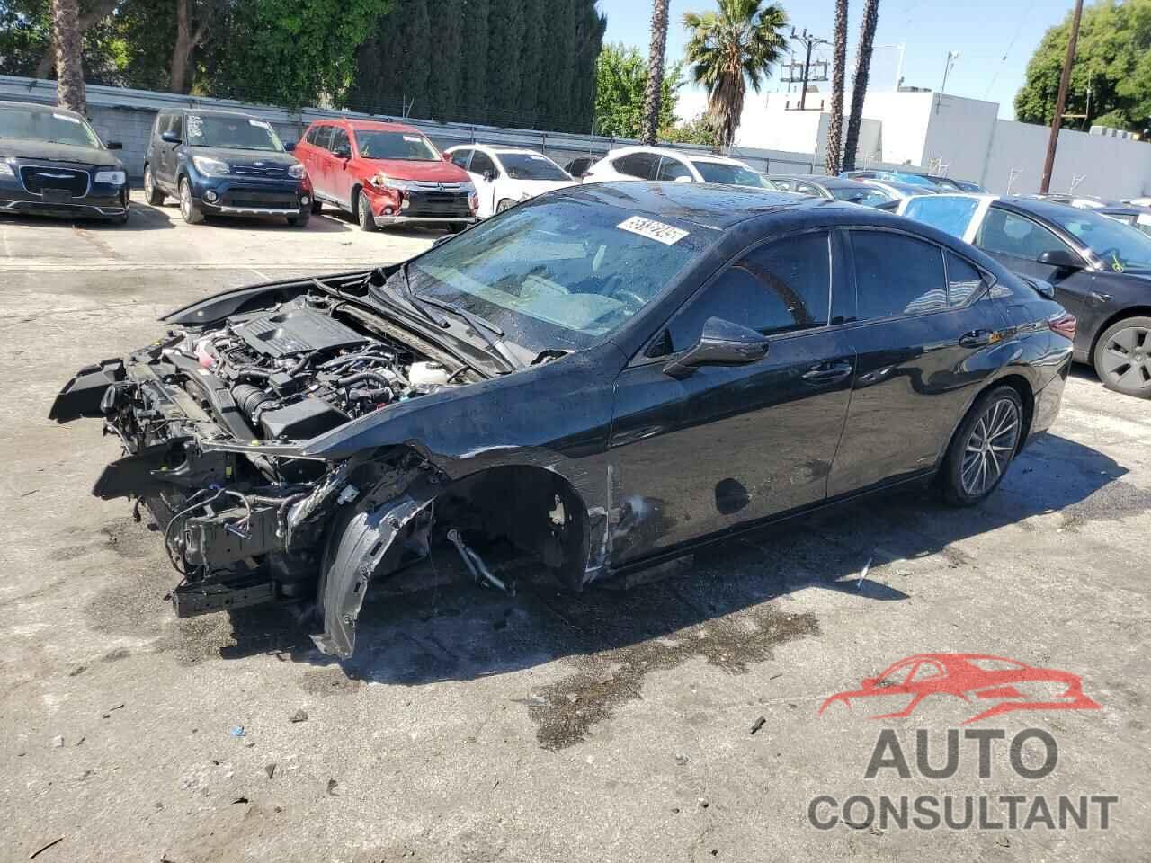 LEXUS ES300 2024 - 58ADA1C18RU039079