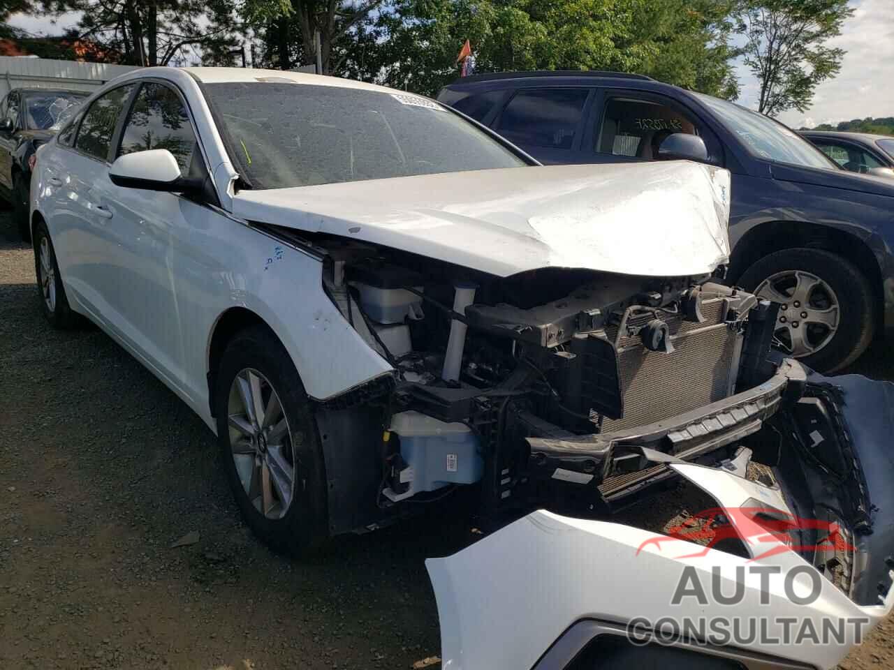 HYUNDAI SONATA 2016 - 5NPE24AF4GH387319