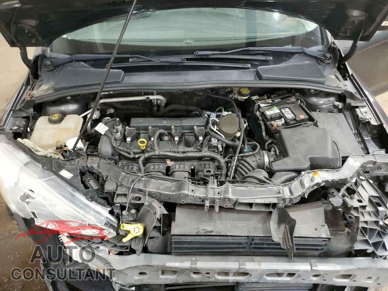 FORD FOCUS 2016 - 1FADP3F20GL305441