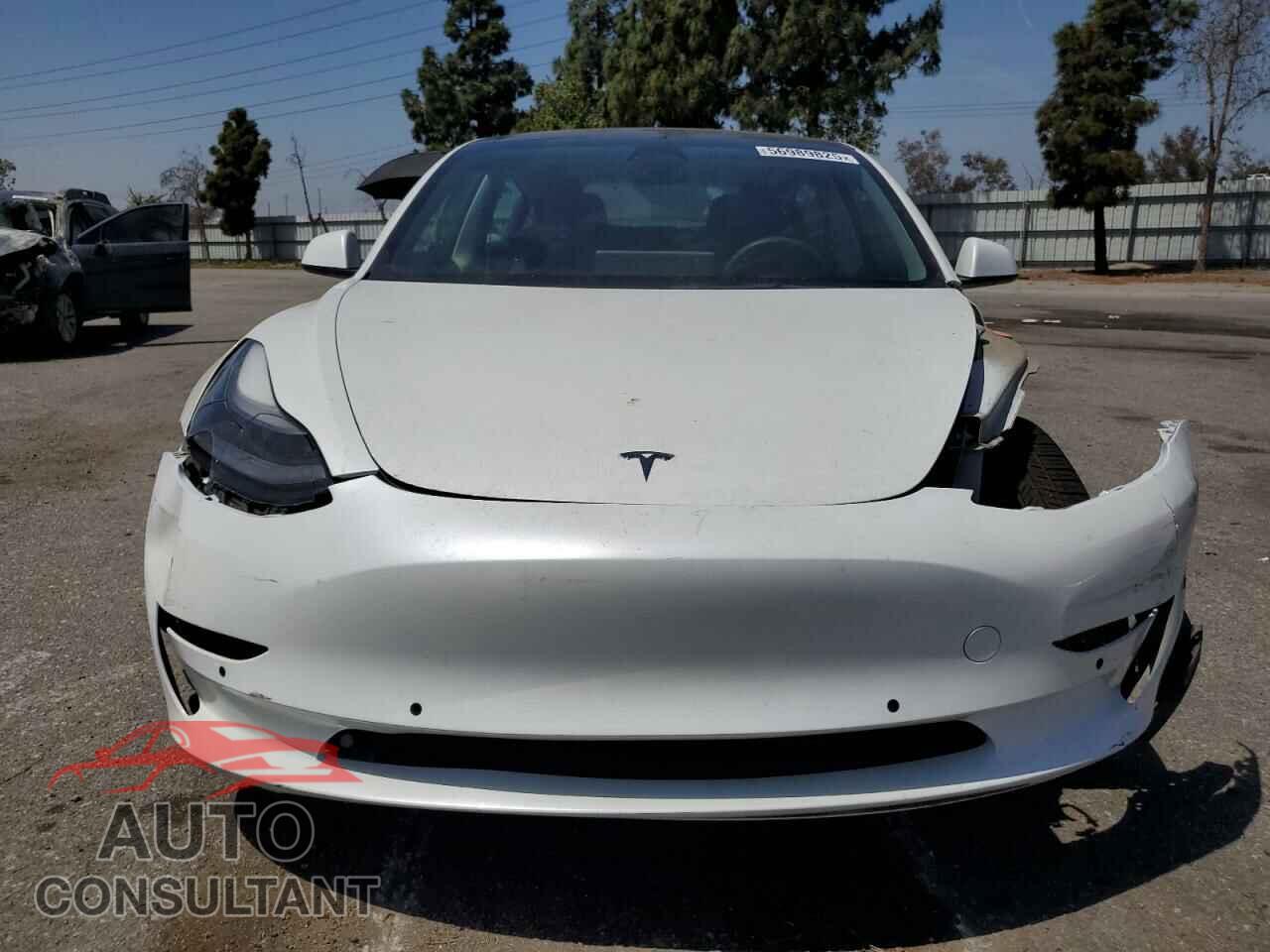 TESLA MODEL 3 2021 - 5YJ3E1EA5MF096205