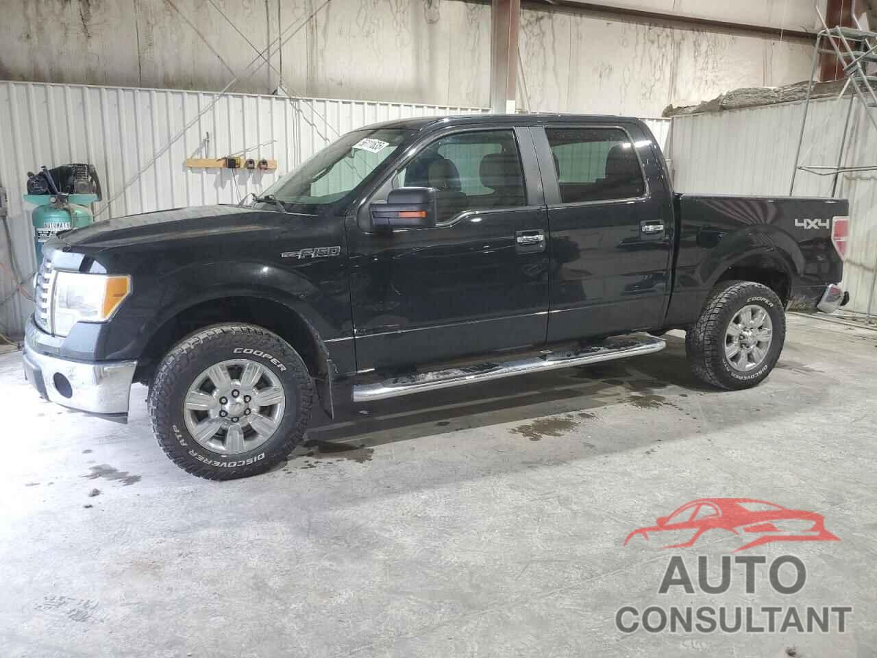 FORD F-150 2010 - 1FTEW1E81AFD87987