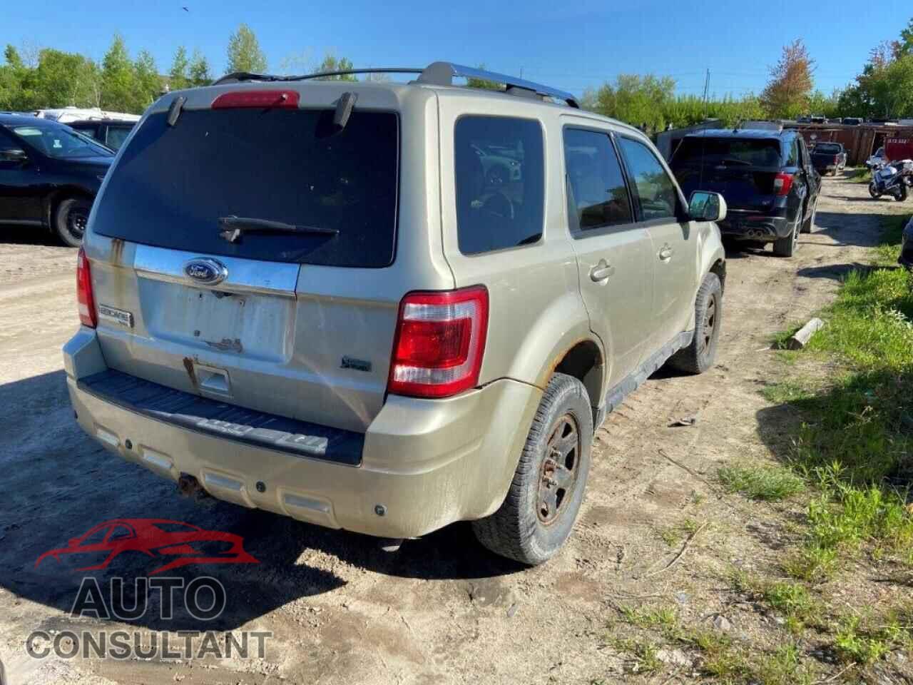 FORD ESCAPE 2010 - 1FMCU9EGXAKA51292