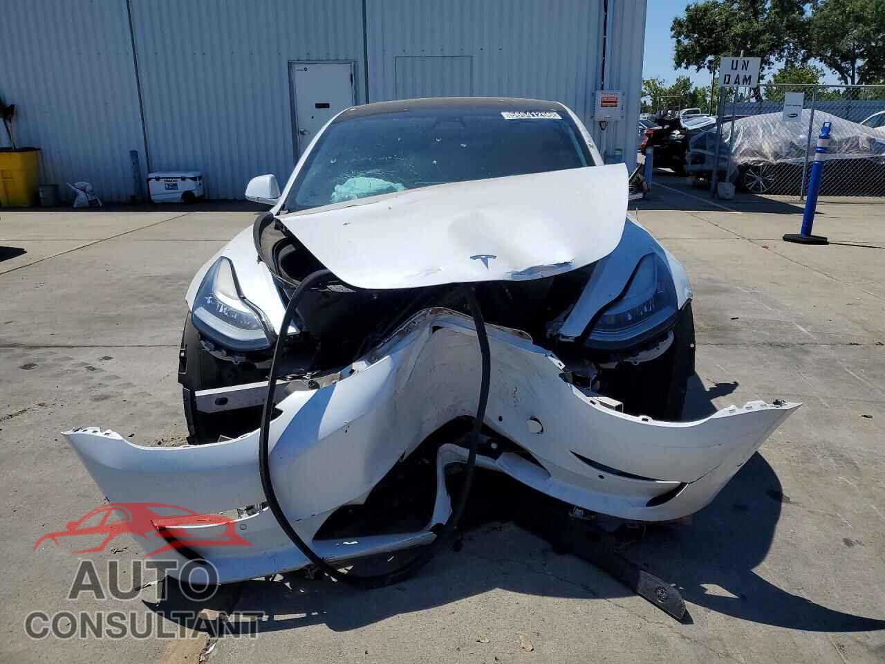 TESLA MODEL 3 2019 - 5YJ3E1EA4KF346319