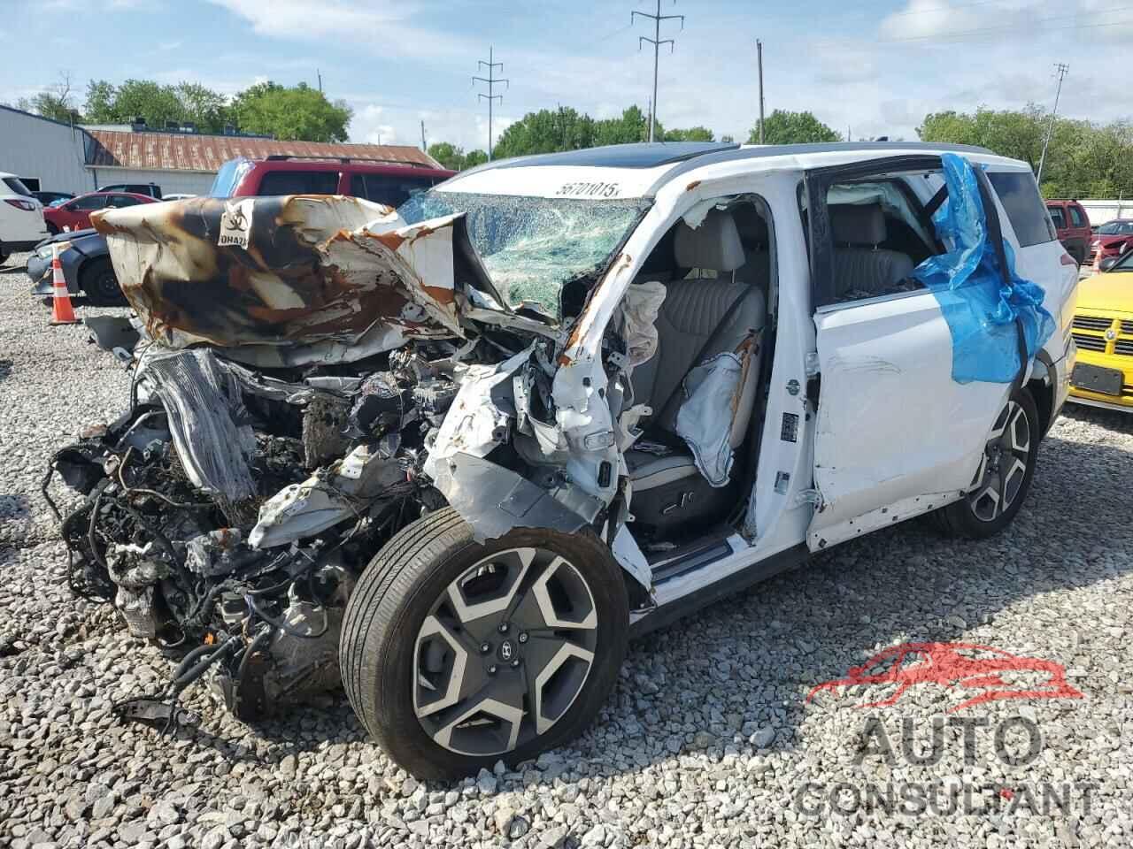 HYUNDAI PALISADE 2024 - KM8R5DGE1RU664813