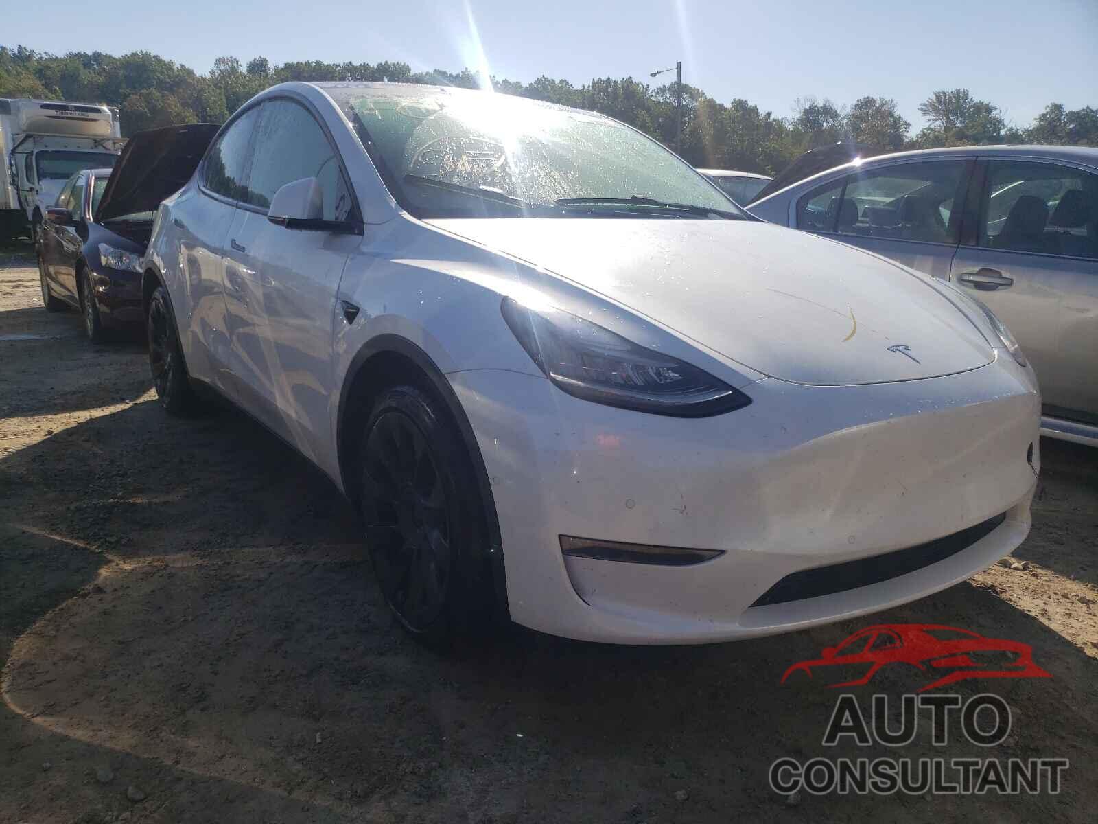 TESLA MODEL Y 2021 - 5YJYGDEE8MF080357