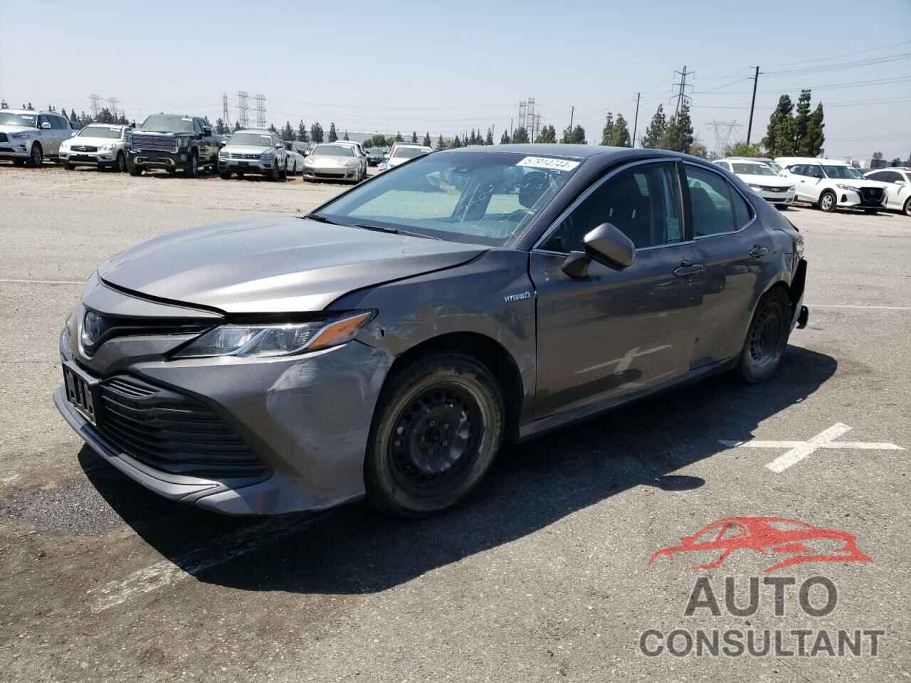 TOYOTA CAMRY 2019 - 4T1B31HKXKU516336