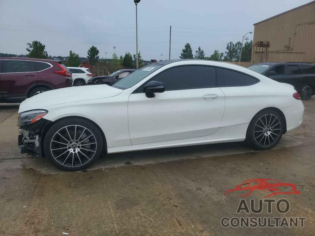 MERCEDES-BENZ C-CLASS 2019 - WDDWJ8DB6KF802642