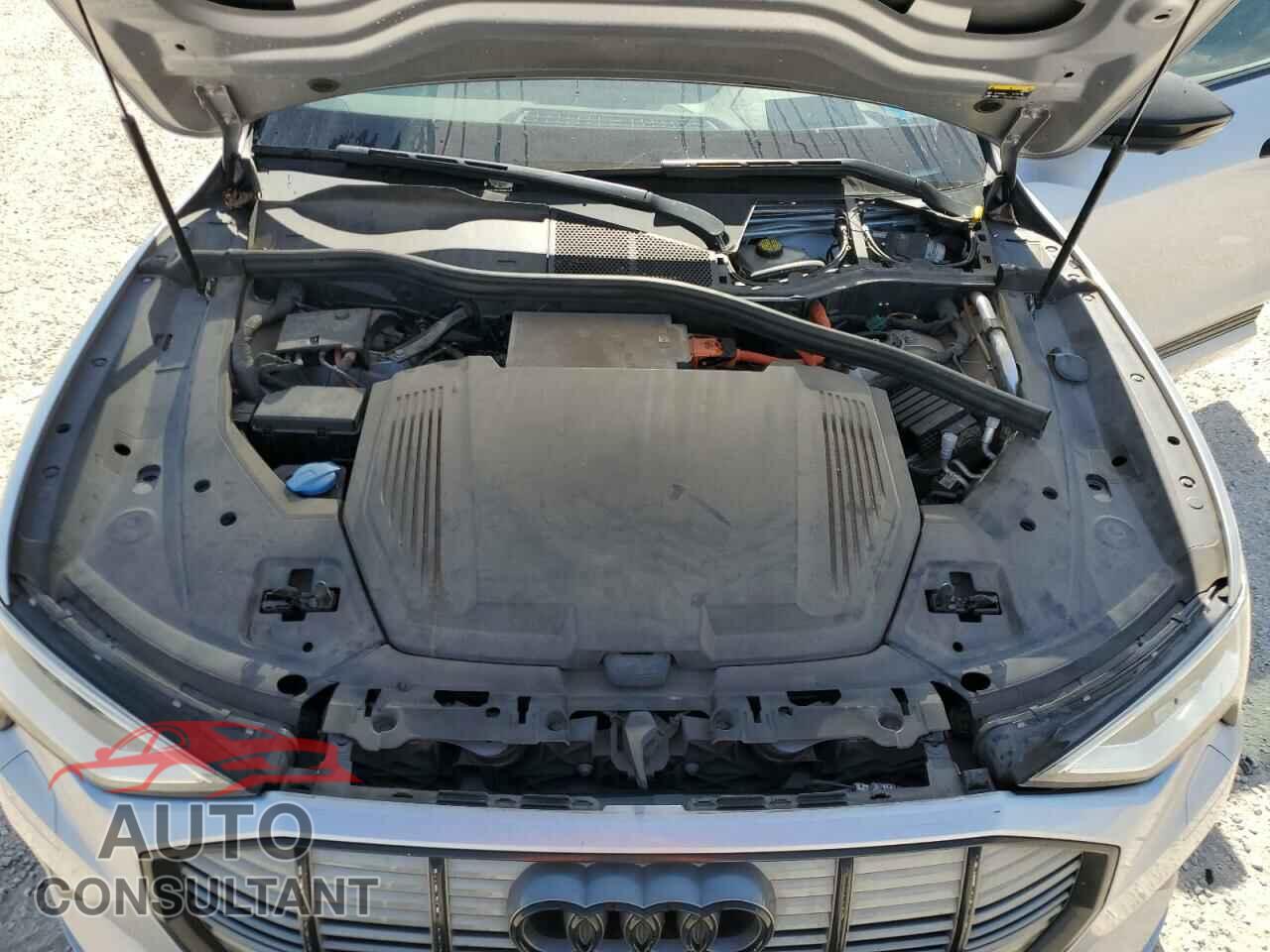 AUDI E-TRON 2019 - WA1VABGE3KB012824