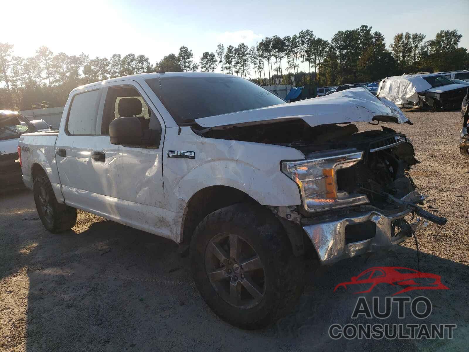 FORD F-150 2019 - 1FTEW1EB9KFA67331