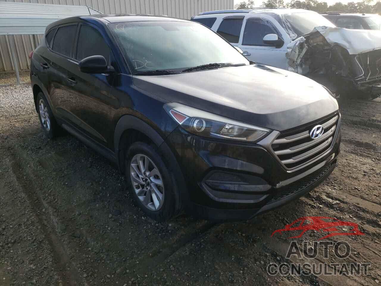 HYUNDAI TUCSON 2016 - KM8J23A43GU143766