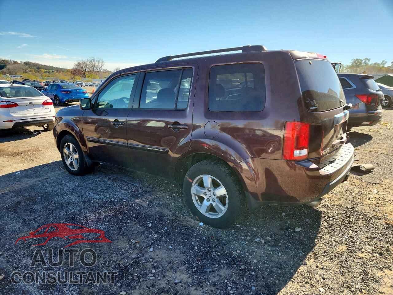 HONDA PILOT 2010 - 5FNYF4H53AB036423