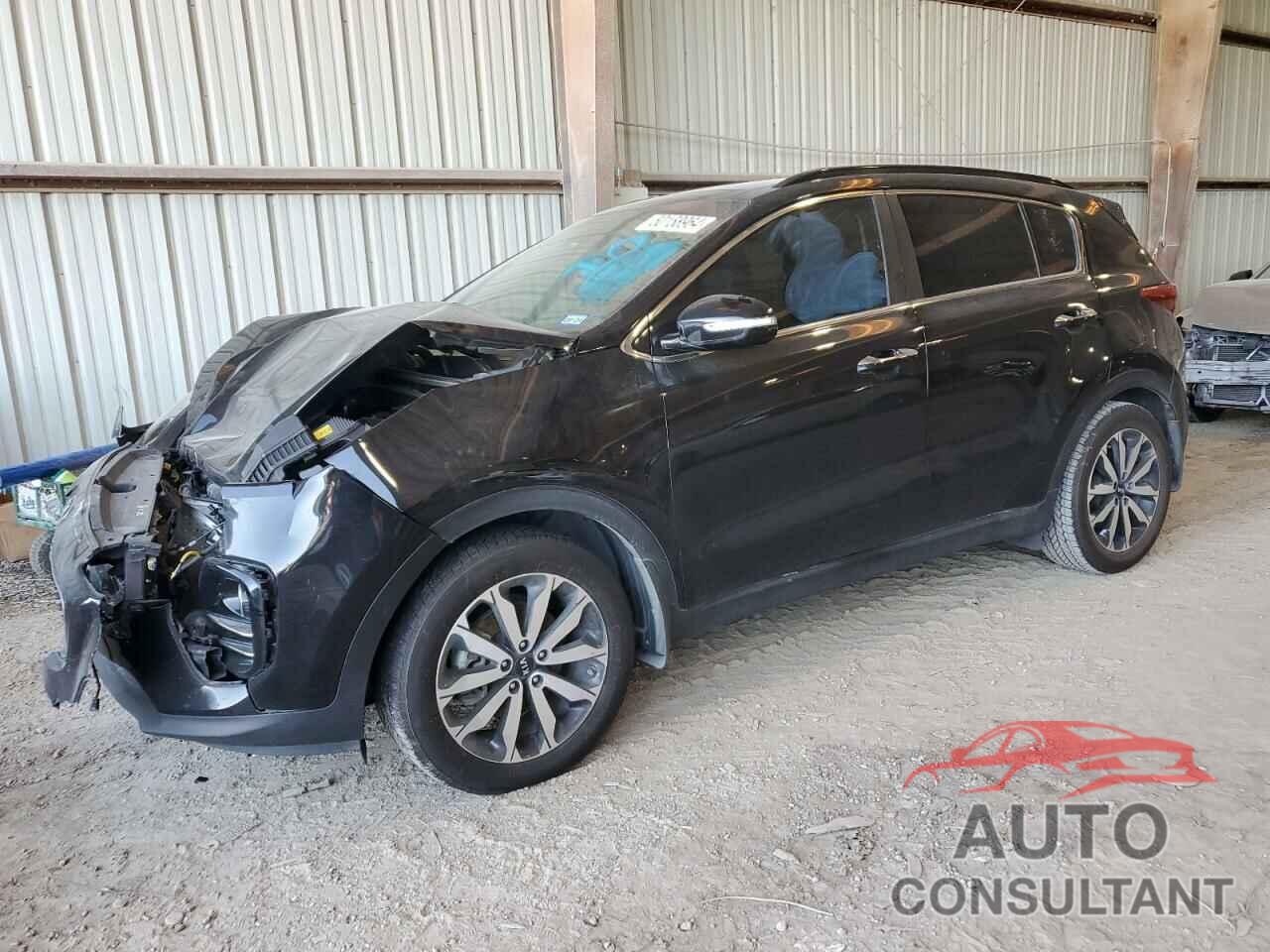 KIA SPORTAGE 2019 - KNDPN3AC3K7528202