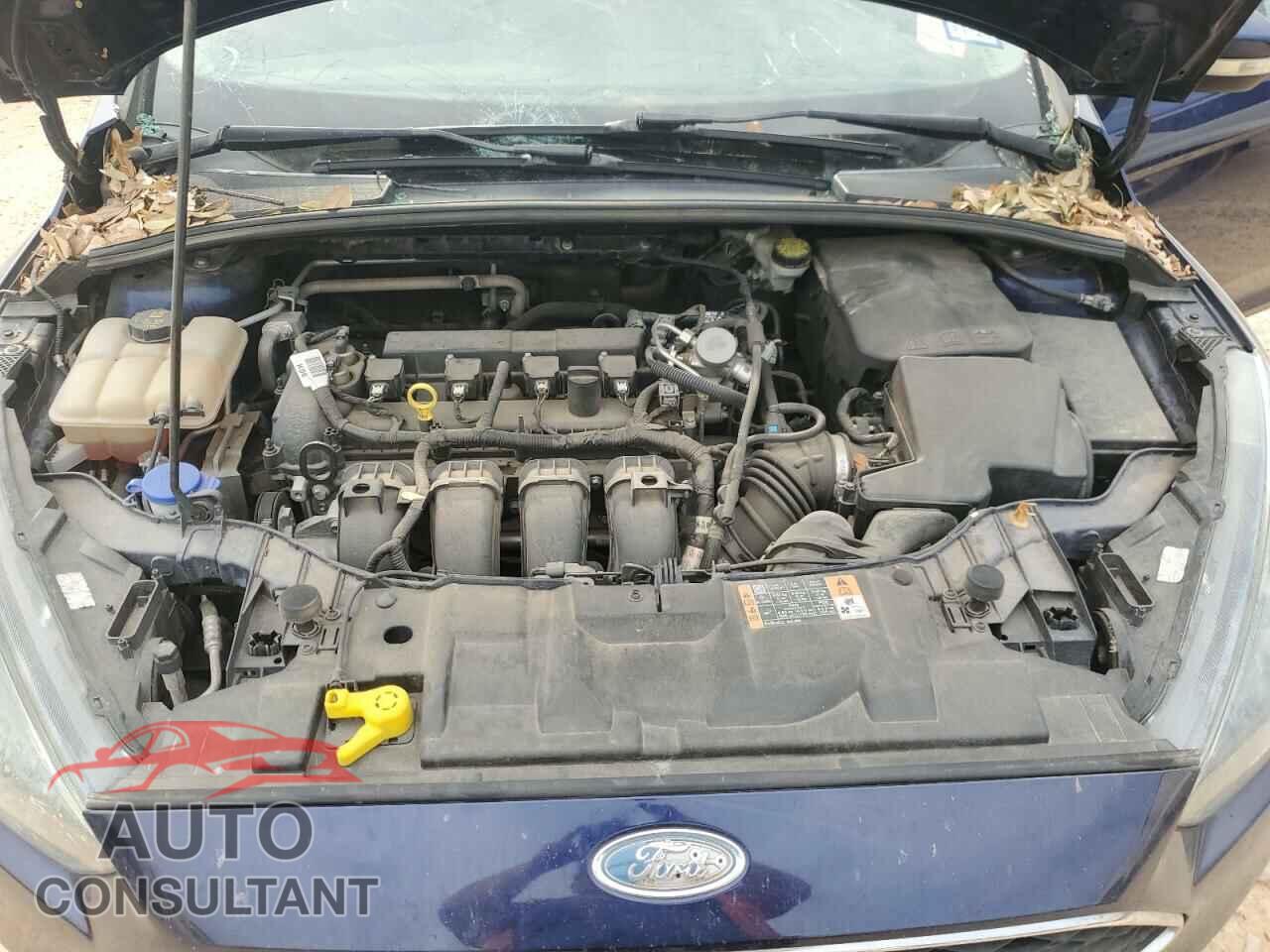 FORD FOCUS 2016 - 1FADP3K29GL391192