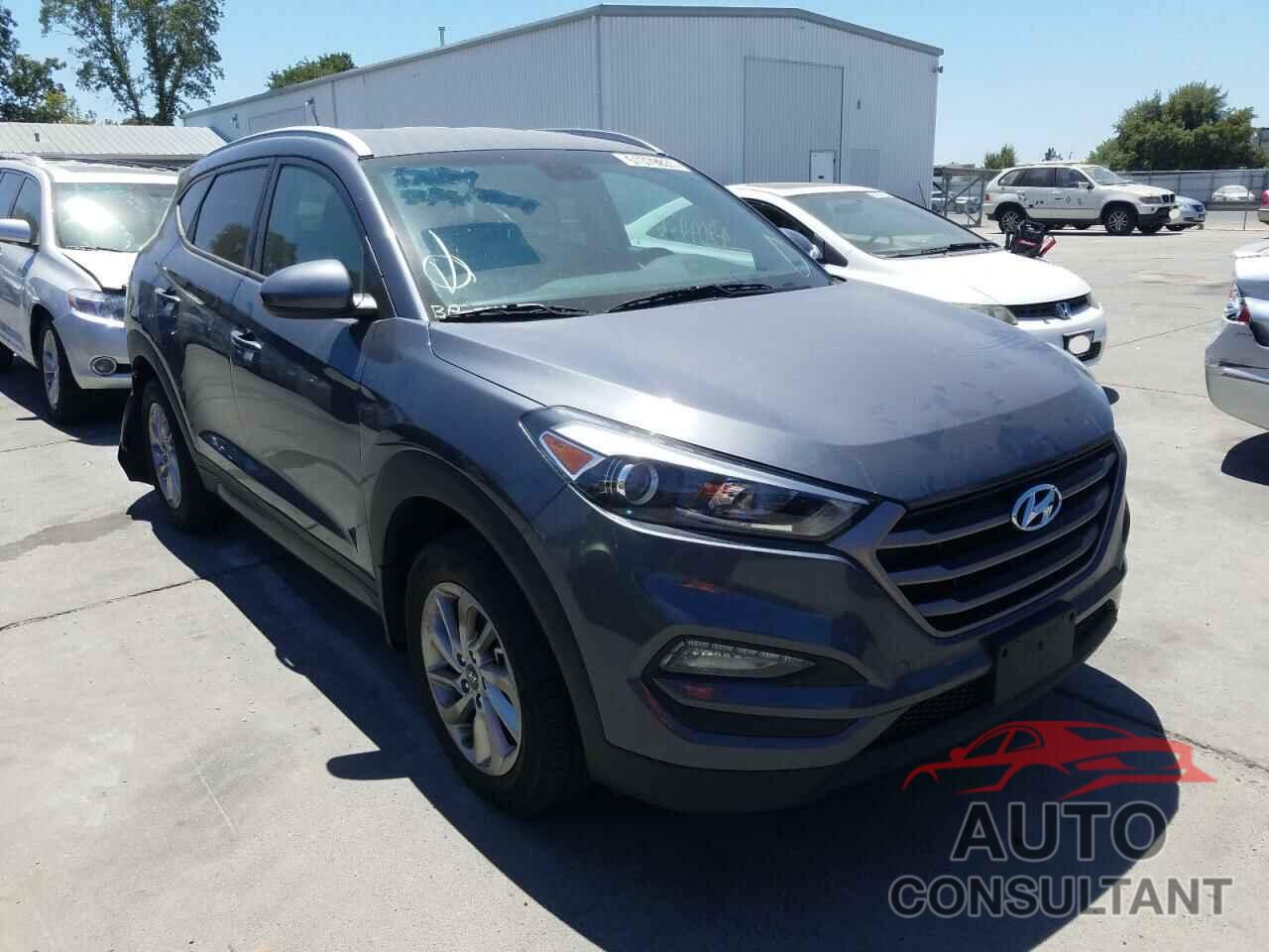 HYUNDAI TUCSON 2016 - KM8J33A40GU237052