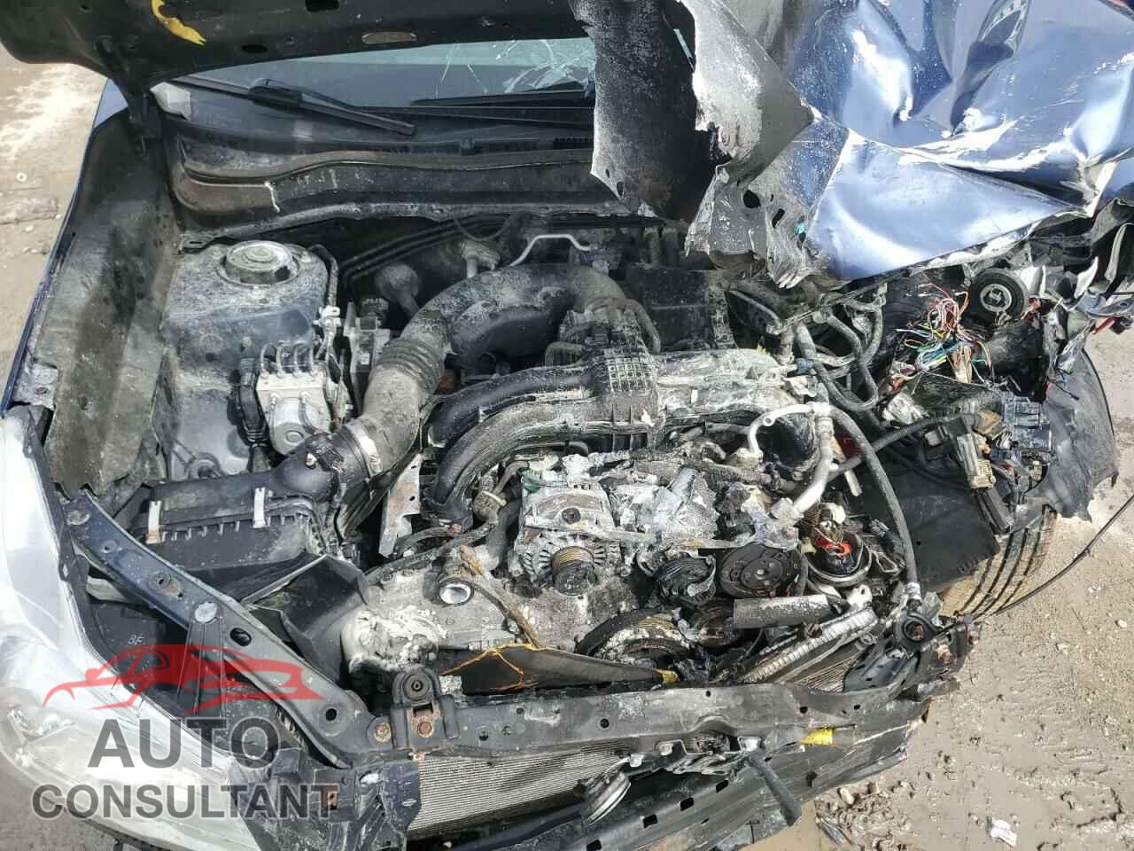 SUBARU FORESTER 2014 - JF2SJAEC0EH544488